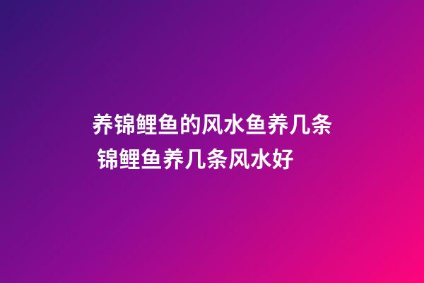 养锦鲤鱼的风水鱼养几条 锦鲤鱼养几条风水好